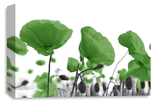 LR Floral Poppy Rose Wall Art Picture – Green & White Framed Canvas Print | Ready to Hang | Modern Wall Art for Living Room, Bedroom & Office