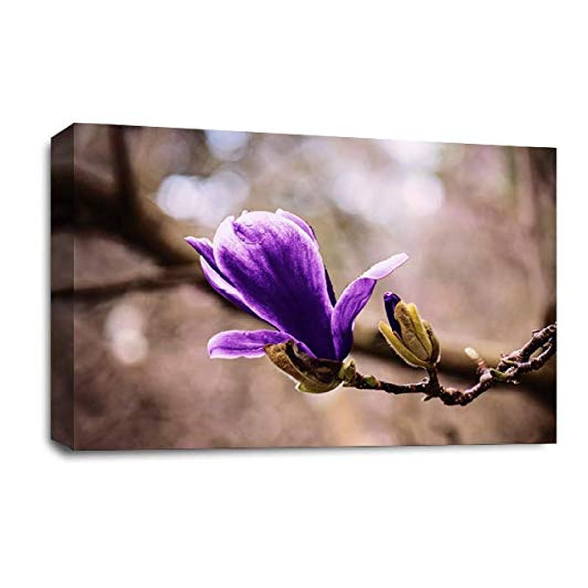 LR Floral Purple Rose Wall Art Picture – Grey & White Framed Canvas Print | Ready to Hang | Modern Wall Art for Living Room, Bedroom & Office