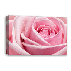 LR Floral Pink Rose Wall Art Picture Framed Canvas Print | Ready to Hang | Modern Wall Art for Living Room, Bedroom & Office