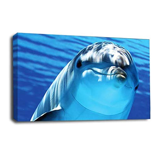 LR Swimming Blue Dolphin Wall Art Picture Ocean Animal Framed Panel Print Ready to Hang