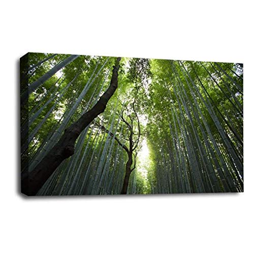LR Forest Canvas Art Picture Landscape Trees Home Wall Canvas Panel Print