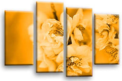 LR Floral Rose Wall Art Picture Orange Cream Spring Flower Framed Split Panel Canvas Print Ready to Hang