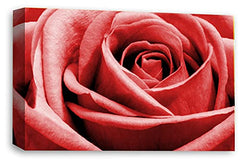 LR Floral Wall Art Print Red Grey Rose Canvas Picture Flower Framed Panel Ready to Hang