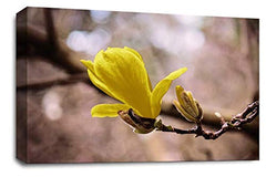 LR Floral Wall Art Print Yellow Grey White Rose Love Flower Framed Canvas Picture Ready to Hang