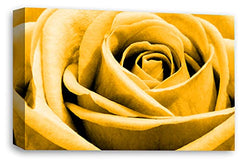 LR Floral Wall Art Print Orange Rose Canvas Picture Flower Framed Panel Ready to Hang