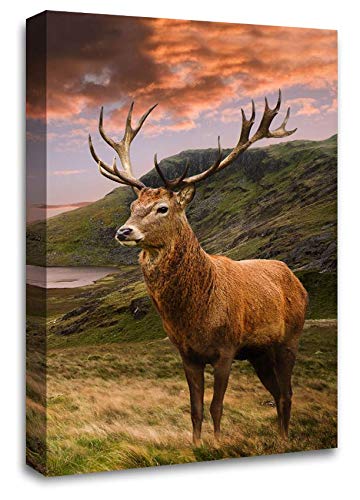 LR Large Highland Stag Canvas Wall Art Picture Scottish Animal Deer Framed Panel Print Ready to Hang