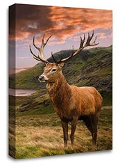 LR Large Highland Stag Canvas Wall Art Picture Scottish Animal Deer Framed Panel Print Ready to Hang