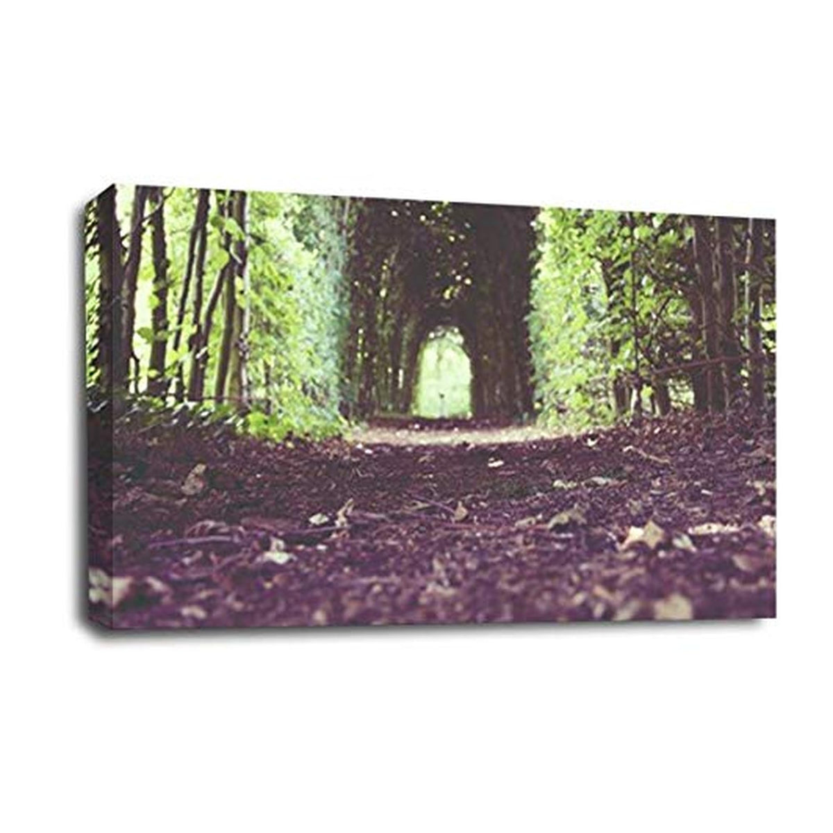 LR Landscape Forest Trees Wall Art Picture Framed Canvas Print | Ready to Hang | Modern Wall Art for Living Room, Bedroom & Office
