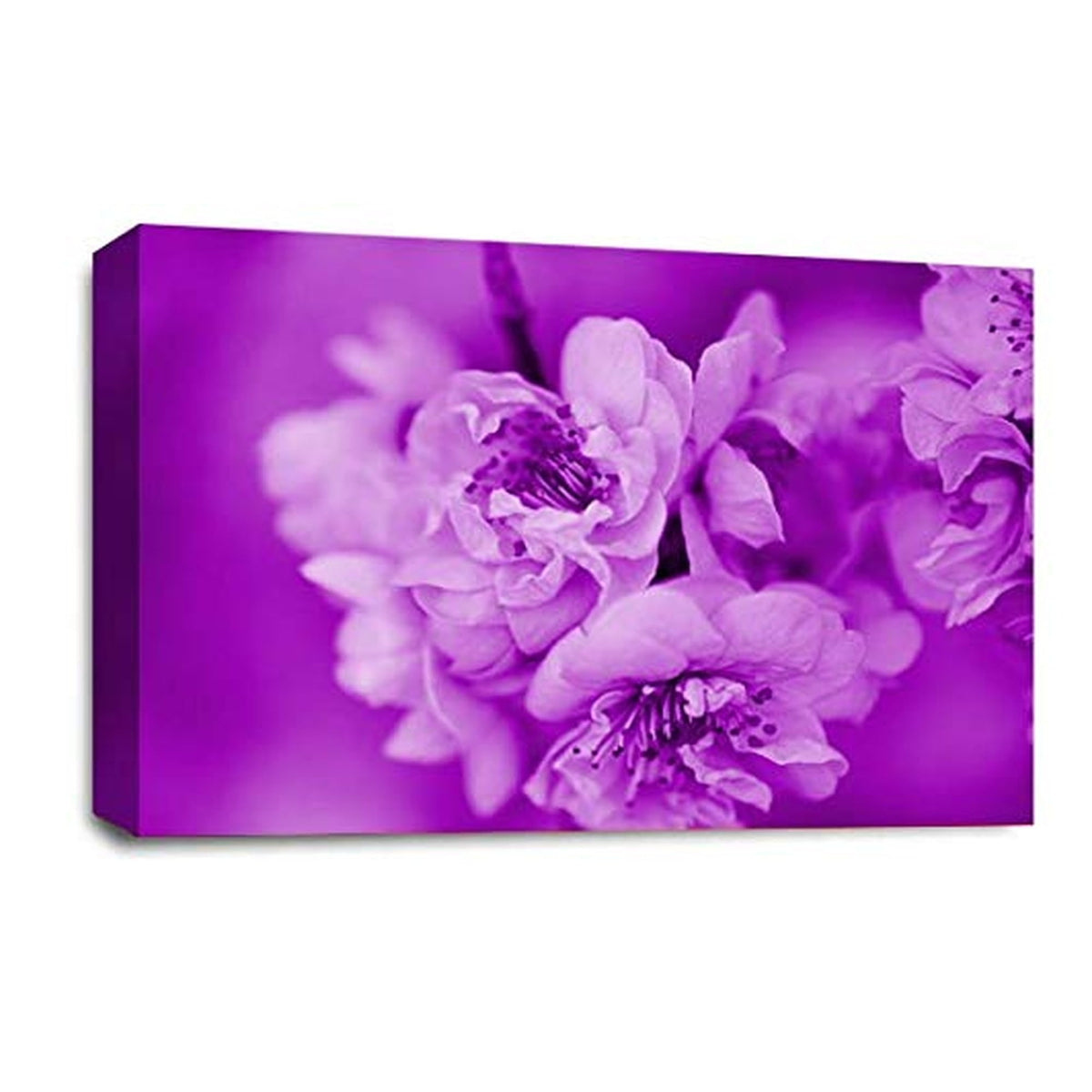 LR Floral Wall Art Picture – Purple & Cream Framed Canvas Print | Ready to Hang | Modern Wall Art for Living Room, Bedroom & Office