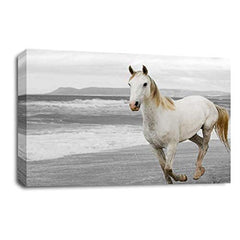 LR White Horse Running Wall Art Picture Animal Home Framed Canvas Panel Print Ready to Hang