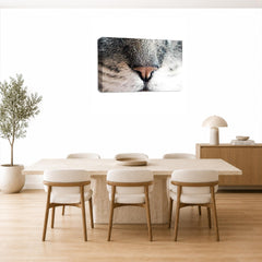 LR Kitten Pussy Cat Wall Art Picture – Animal Framed Canvas Print | Ready to Hang | Modern Wall Art for Living Room, Bedroom & Office