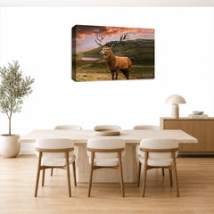 LR Scottish Highland Stag Wall Art Picture – Grey, Teal & Black Framed Canvas Print | Ready to Hang | Modern Wall Art for Living Room, Bedroom & Office
