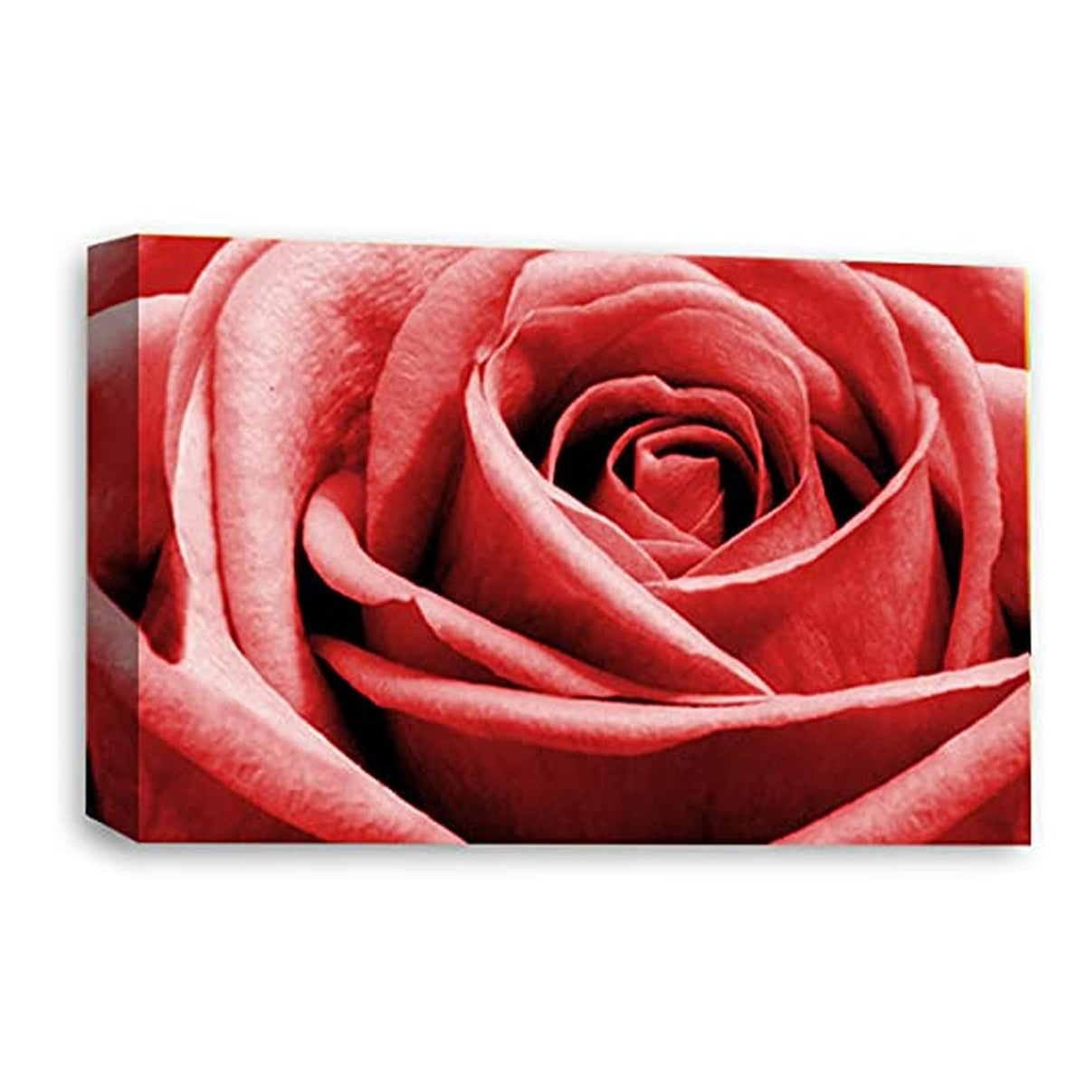 LR Floral Wall Art Picture – Grey & Red Rose Framed Canvas Print | Ready to Hang | Modern Wall Art for Living Room, Bedroom & Office