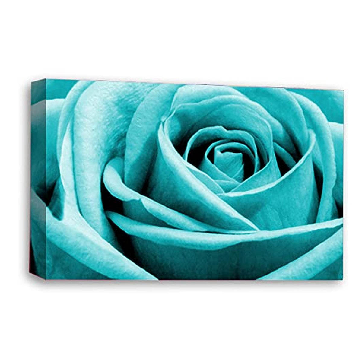 LR Floral Rose Wall Art Picture – Teal Framed Canvas Print | Ready to Hang | Modern Wall Art for Living Room, Bedroom & Office