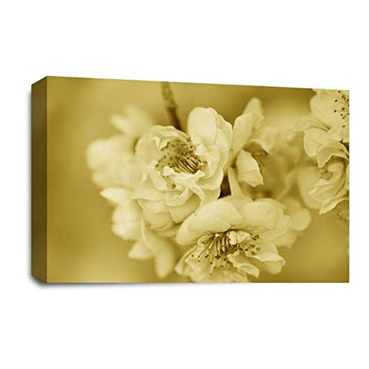 LR Floral Rose Flower Wall Art Picture – Cream & Brown Framed Canvas Print | Ready to Hang | Modern Wall Art for Living Room, Bedroom & Office