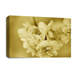 LR Floral Rose Flower Wall Art Picture – Cream & Brown Framed Canvas Print | Ready to Hang | Modern Wall Art for Living Room, Bedroom & Office