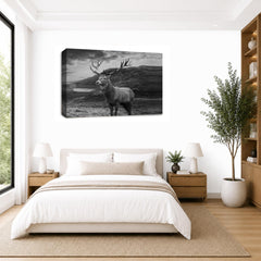 LR Highland Stag Wall Art Picture Framed Canvas Print | Ready to Hang | Modern Wall Art for Living Room, Bedroom & Office
