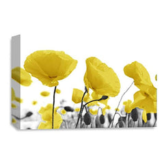 LR Floral Poppy Rose Wall Art Picture – Yellow & White Framed Canvas Print | Ready to Hang | Modern Wall Art for Living Room, Bedroom & Office