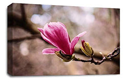 LR Floral Pink Rose Wall Art Picture – Grey & White Framed Canvas Print | Ready to Hang | Modern Wall Art for Living Room, Bedroom & Office