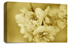 LR Floral Rose Flower Wall Art Picture Brown Cream Blossom Love Framed Canvas Print Ready to Hang