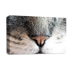 LR Kitten Pussy Cat Wall Art Picture – Animal Framed Canvas Print | Ready to Hang | Modern Wall Art for Living Room, Bedroom & Office