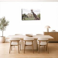 LR African Giraffe Animal Wall Art Picture Framed Canvas Print | Ready to Hang | Modern Wall Art for Living Room, Bedroom & Office