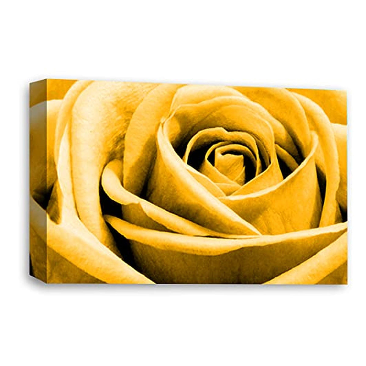 LR Floral Wall Art Picture – Orange Rose Framed Canvas Print | Ready to Hang | Modern Wall Art for Living Room, Bedroom & Office