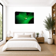 LR Floral Rain Forest Wall Art Picture – Green & White Framed Canvas Print | Ready to Hang | Modern Wall Art for Living Room, Bedroom & Office