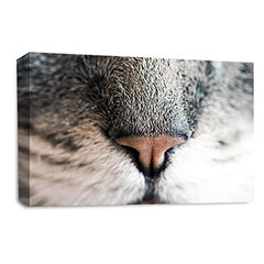LR Kitten Pussy Cat Wall Art Picture Cute Animal Nose Framed Canvas Panel Print Ready to Hang