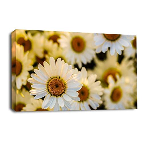 LR Floral Flower Daisy Wall Art Picture Yellow White Rose Poppy Framed Panel Print Ready to Hang