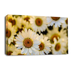 LR Floral Flower Daisy Wall Art Picture Yellow White Rose Poppy Framed Panel Print Ready to Hang