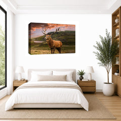 LR Scottish Highland Stag Wall Art Picture Framed Canvas Print | Ready to Hang | Modern Wall Art for Living Room, Bedroom & Office