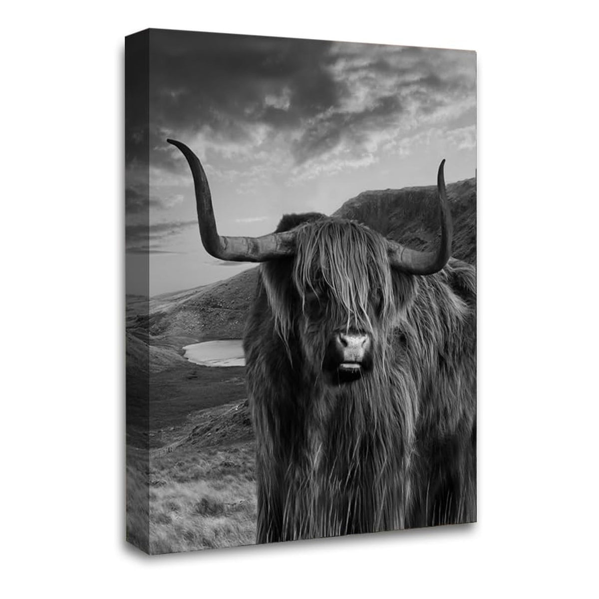 LR Highland Cow Stag Wall Art Picture Framed Canvas Print | Ready to Hang | Modern Wall Art for Living Room, Bedroom & Office