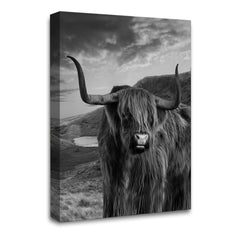 LR Highland Cow Stag Wall Art Picture Framed Canvas Print | Ready to Hang | Modern Wall Art for Living Room, Bedroom & Office