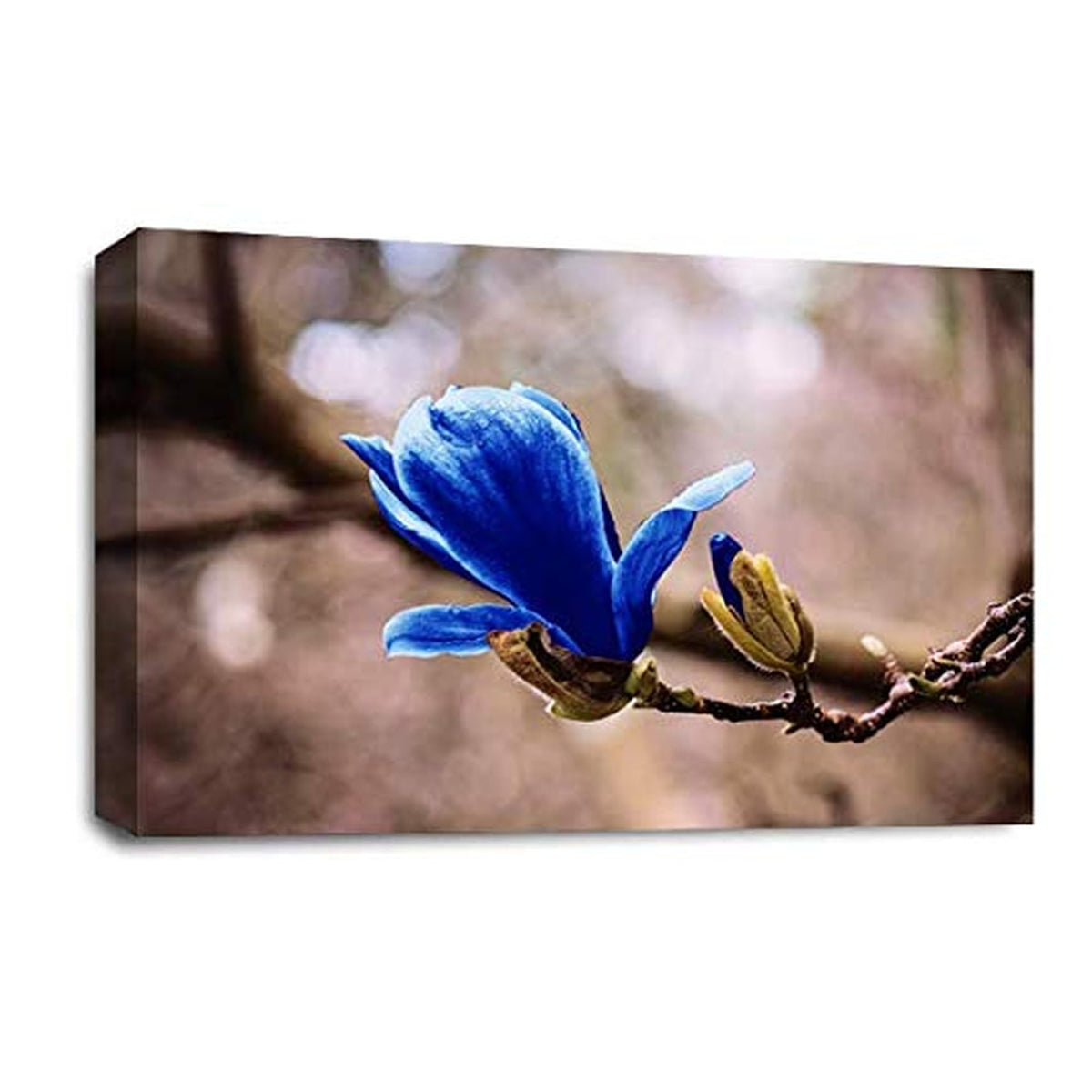 LR Floral Blue Rose Wall Art Picture – Grey & White Framed Canvas Print | Ready to Hang | Modern Wall Art for Living Room, Bedroom & Office