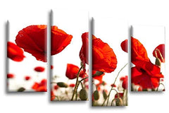 LR Floral Rose Poppy Wall Art Picture Red White Flower Framed Split Canvas Print Ready to Hang