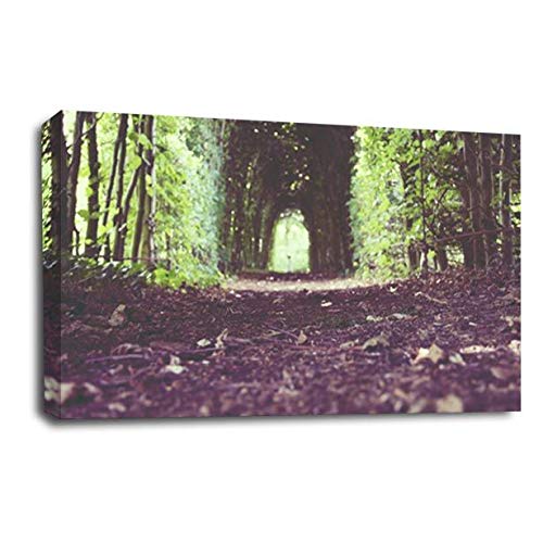 LR Landscape Forest Trees Wall Art Picture Framed Canvas Panel Print Ready to Hang