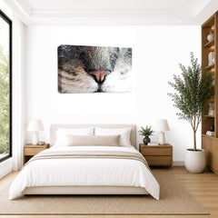 LR Kitten Pussy Cat Wall Art Picture – Animal Framed Canvas Print | Ready to Hang | Modern Wall Art for Living Room, Bedroom & Office