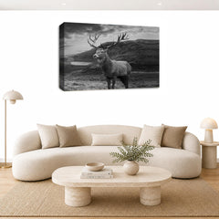 LR Highland Stag Wall Art Picture Framed Canvas Print | Ready to Hang | Modern Wall Art for Living Room, Bedroom & Office