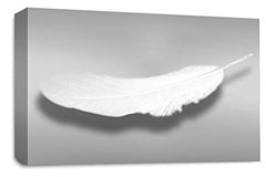 LR Abstract Feather Wall Art Picture Grey White Dream Love Framed Panel Print Ready to Hang