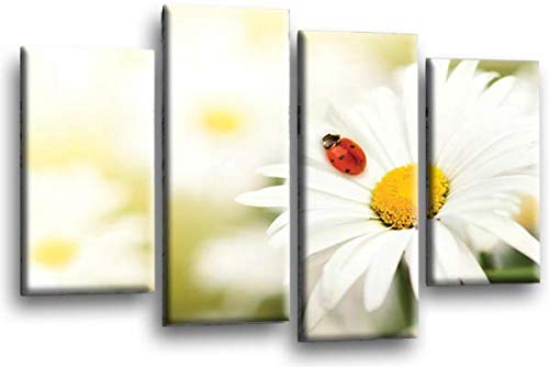 LR Floral Wall Art Print Daisy Yellow White Flower Framed Split Panel Canvas Picture Ready to Hang