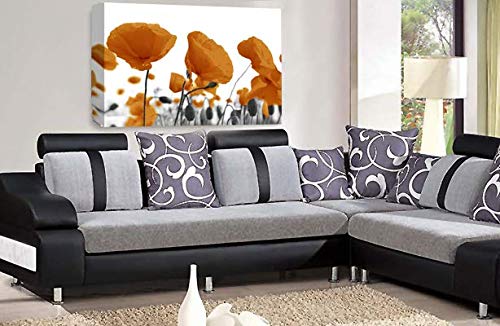 LR Floral Poppy Rose Wall Art Picture Orange White Landscape Flower Picture Framed Print Ready to Hang