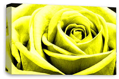 LR Floral Wall Art Print Yellow Rose Canvas Picture Flower Framed Panel Ready to Hang