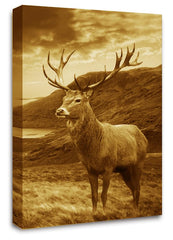 LR Highland Stag Canvas Wall Art Picture Scottish Animal Framed Print Ready to Hang Sepia Brown