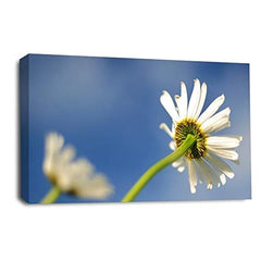 LR Floral Flower Daisy Wall Art Picture Yellow White Rose Poppy Framed Panel Print Ready to Hang