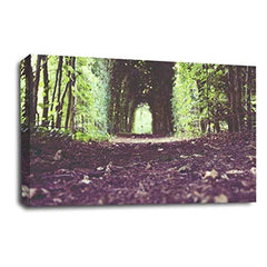 LR Landscape Forest Trees Wall Art Picture Framed Canvas Panel Print Ready to Hang