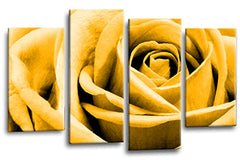 LR Floral Wall Art Print Orange Rose Flower Landscape Framed Split Panel Canvas Picture Ready to Hang