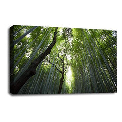 LR Forest Canvas Art Picture Landscape Trees Home Wall Canvas Panel Print