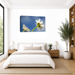 LR Floral Flower Daisy Wall Art Picture – Yellow & White Poppy Framed Canvas Print | Ready to Hang | Modern Wall Art for Living Room, Bedroom & Office
