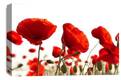 LR Floral Poppy Rose Wall Art Picture Red White Landscape Flower Picture Framed Print Ready to Hang